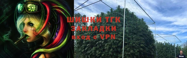 дурь Богданович